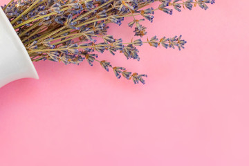 lavender flowers in white vase on pink background.