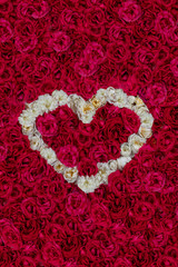Red roses background with a heart shape made with white roses