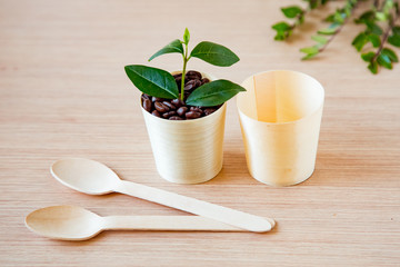 coffee beans, in disposable, eco-friendly dishes.without plastic.