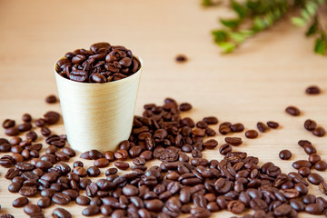 coffee beans, in disposable, eco-friendly dishes.without plastic.