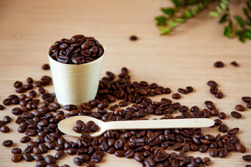 coffee beans, in disposable, eco-friendly dishes.without plastic.