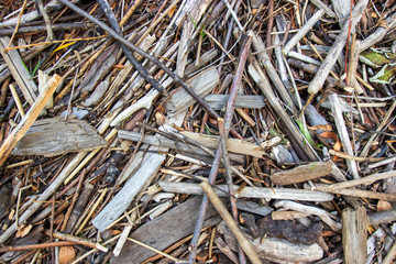 close up of a pile of wood