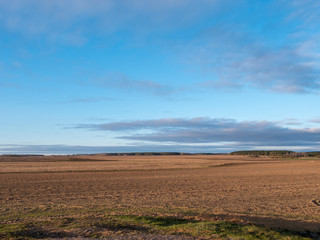 clouds floating over a field with crops at dawn
