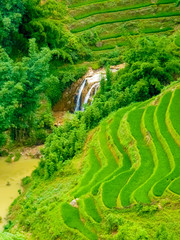 L&agrave;o Cai rice fields near Sapa (Chapa) in north mountains of Vietnam, L&agrave;o Cai, Vietnam