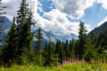 Tyrolean Landscape with Hintertux Glacier in the Background