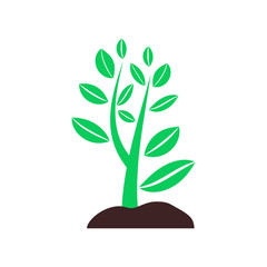 Fototapeta na wymiar plant sprouting from ground. Symbol of ecology, environmental awareness