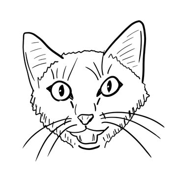 Meowing cat illustration