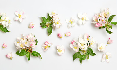 Blossom spring pattern on white background. Beautiful pink bloom flowering wallpaper, top view. Creative fashionable trendy flat lay. Springtime blooming concept.