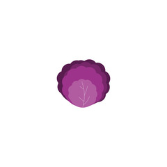 This is purple cabbage on white background.