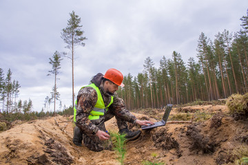 A forester in a helmet and vest checks the quality of tree planting. An environmentalist with a computer records the planted seedlings. Young trees planted on the site of a felled forest.