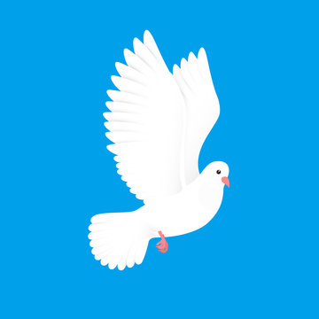 White dove. Free bird in sky. Paper pigeon flying silhouette. Vector illustration