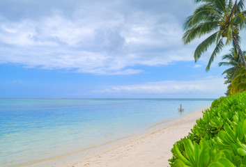 Beautiful white sand beach with palm trees, turquoise ocean water and blue sky with clouds in sunny day