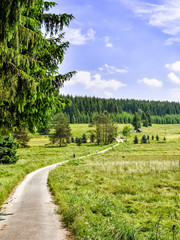 Fototapeta na wymiar Romantic landscape in the Schwarzwassertal in the Erzgebirge in Saxony / Germany