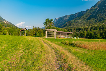 Naklejka na ściany i meble lakes and rivers in the woods alpine landscape of Slovenia