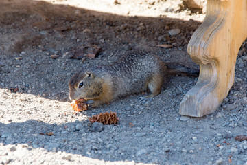 Die Wildnis von Kamtschatka - Sibirien - Russland