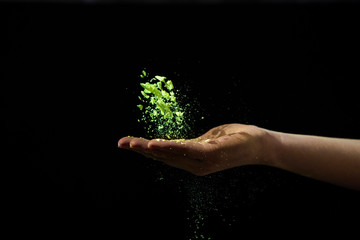 Hand throws up dry organic green paint