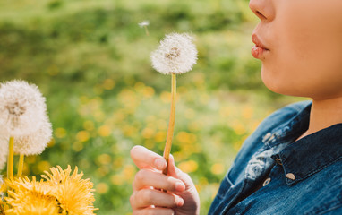 Girl in a denim shirt holds dandelions at sunset. Outside. Flowers background. Copy space