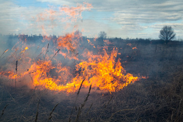 Fire in the field.