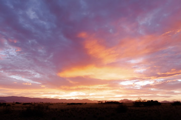 Desert Sunrise 