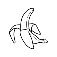 Linear drawing banana isolated on white background. Sketch for coloring booking page. Vector illustration
