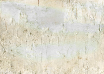 Natural wood texture background with raw birch textures for forestry and wooden wallpaper. White birch-tree bark for rough wooden wall.
Organic materials for print design and rustic web banner.