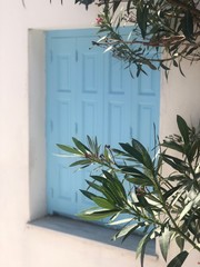 Blue window with olive tree