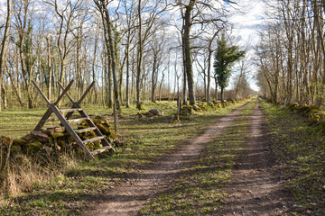 Fototapeta premium Wooden stile by a country road