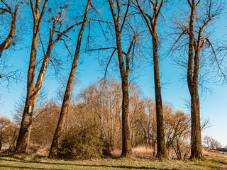 Beautiful spring view near Mettenufer, Danube, Bavaria, Germany