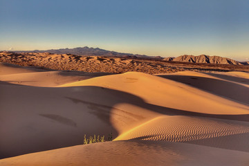 Fototapeta na wymiar Landscape of sand dunes in desert at sunset