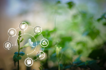 Smart technology with Internet of things futuristic agriculture concept. Analysis report with one finger click on digital screen. free space for text.  Blurred gentle artistic nature  background