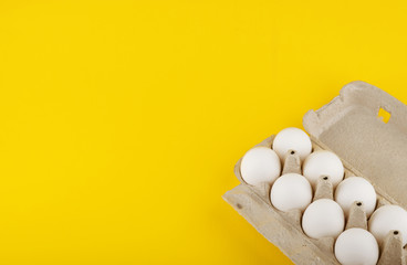 chicken eggs on yellow background