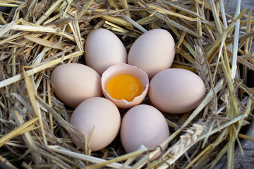 Homemade chicken eggs laid out in the shape of a flower around a scarlet with a yolk