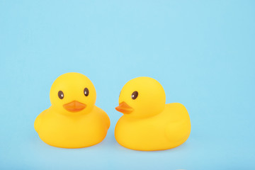 yellow rubber ducks on blue background