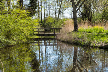 Fototapeta na wymiar wooden bridge over a small river in springtime