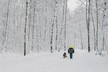 Fototapeta na wymiar A lone man walks in a snow-covered forest with a German shepherd. He's wearing a reflective suit. Rear view