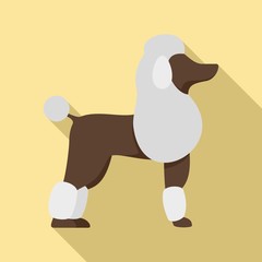 Poodle dog icon. Flat illustration of poodle dog vector icon for web design