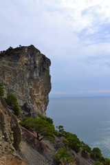 Crimea