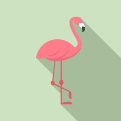 Pink flamingo icon. Flat illustration of pink flamingo vector icon for web design