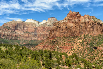 Fototapeta premium Zion National Park