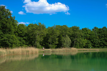 Kleiner See in Sasbach am Kaiserstuhl im Frühling