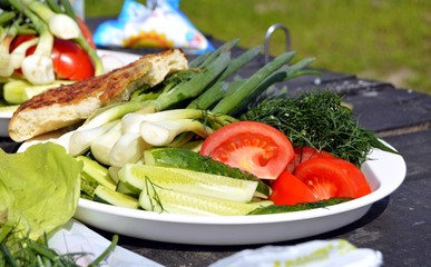 Food at a picnic. Fresh vegetables and grilled meat.