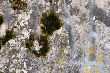 Close-up - gray-brown stone wall in the old facade of the house
