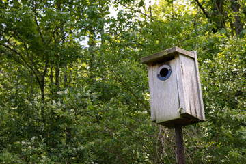 Weathered wood birdhouse mounted on a pole, trees background, horizontal aspect