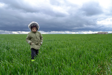Naklejka na ściany i meble The child is alone in the field during a thunderstorm. Gray stormy sky over a green field and a boy wanders alone.
