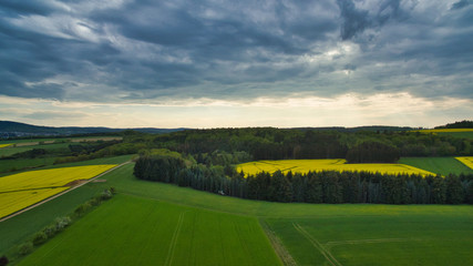 Obraz premium Rapsfelder Landschaft von oben