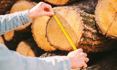 Closeup wood production warehouse manager checking size of cut tree log with measure tape. Man...