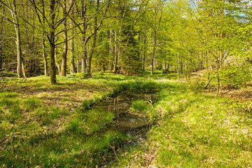 landscape at the river Schwarza in Thuringia near Schwarzburg