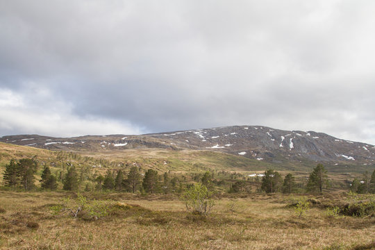 Hochmoor Omnsfjellet in   Langlidalen