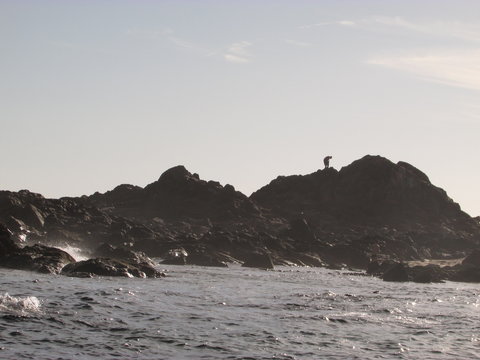 waves crashing on rocks