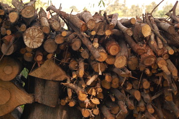 stack of firewood
